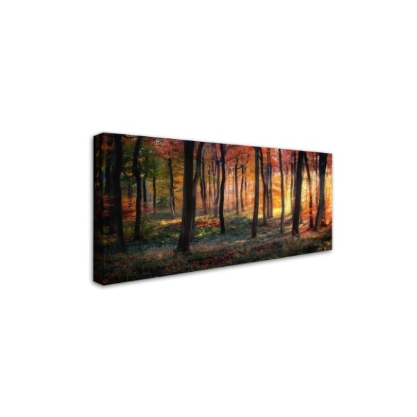 Photokes 'Autumn Woodland Sunrise' Canvas Art,24x47
